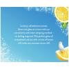 imageCelestial Seasonings Cold Brew Watermelon Lime Zinger Iced Tea 18 Tea BagsSweetened Tea with Lemon