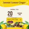 imageCelestial Seasonings Herbal Tea Caramel Apple Dream 18 Count Pack of 6Jammin Lemon Ginger