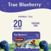 imageCelestial Seasonings Herbal Tea Caramel Apple Dream 18 Count Pack of 6True Blueberry