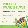 image:imageCelestial Seasonings Hibiscus Punch Prebiotic Blend Wellness Tea Caffeine Free Herbal Tea for Gut Health amp Digestive Support 16 Tea BagsDetox Blend