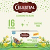 image:imageCelestial Seasonings Hibiscus Punch Prebiotic Blend Wellness Tea Caffeine Free Herbal Tea for Gut Health amp Digestive Support 16 Tea BagsDetox Blend