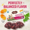 image:imageCelestial Seasonings Hibiscus Punch Prebiotic Blend Wellness Tea Caffeine Free Herbal Tea for Gut Health amp Digestive Support 16 Tea BagsPrebiotic Blend