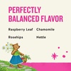 image:imageCelestial Seasonings Hibiscus Punch Prebiotic Blend Wellness Tea Caffeine Free Herbal Tea for Gut Health amp Digestive Support 16 Tea BagsSheWell Raspberry